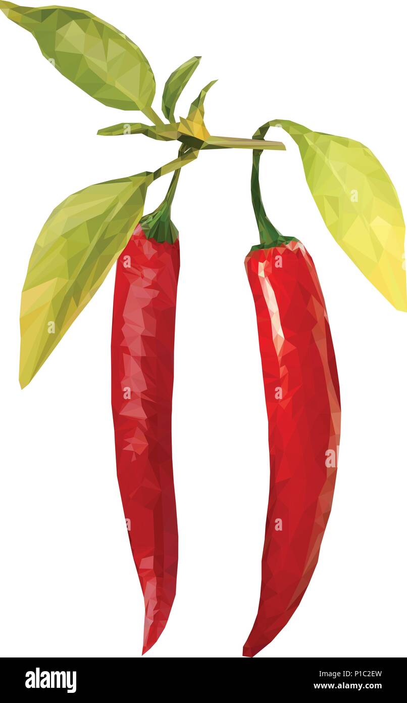 Red hot chili pepper pod realistic image vector illustration Stock Vector