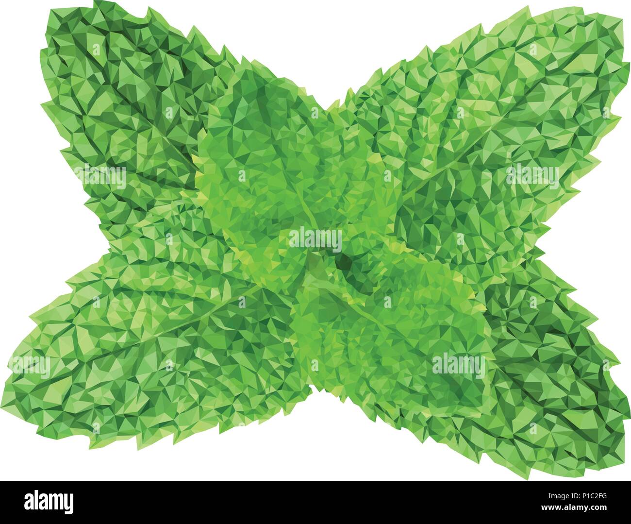 Polygonal realistic vector fresh mint leaves on a white background Stock Vector