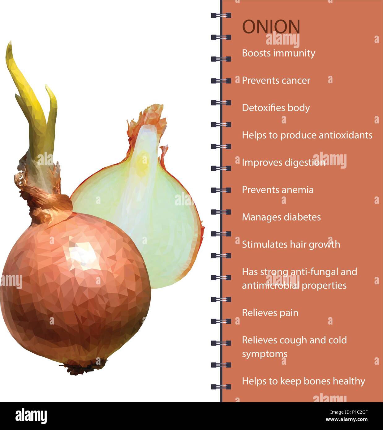 Fresh onion polygonal realistic vector illustration Stock Vector