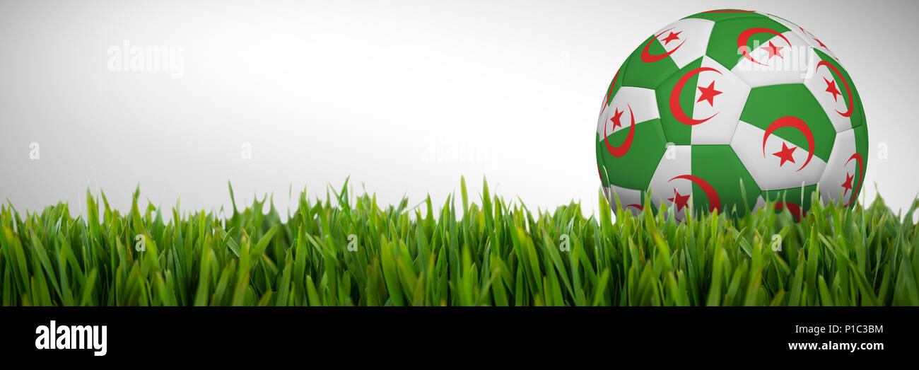 Composite image of football in algeria colours Stock Photo