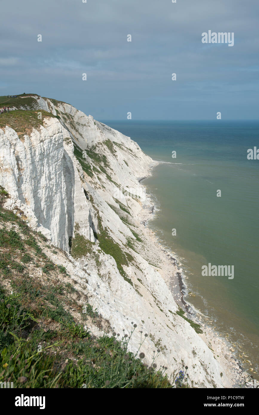Chalk Cliffs, Beachy Hed, Sussex, UK Stock Photo