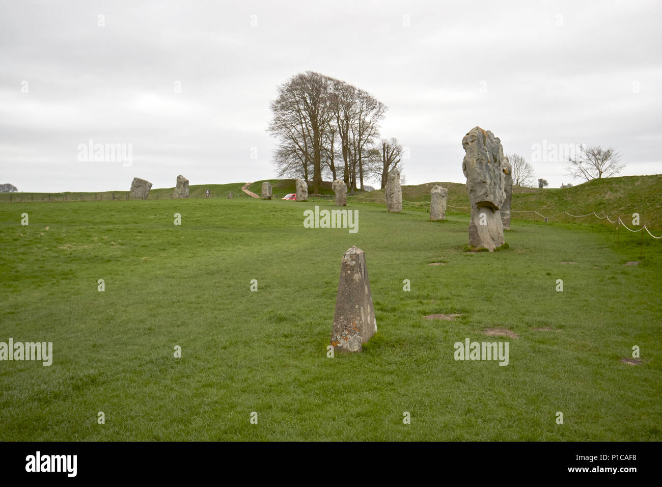 larger sarsen stone part of the outer ring stone circle avebury stone circles wiltshire england uk. The missing stones are replaced with markers as in Stock Photo
