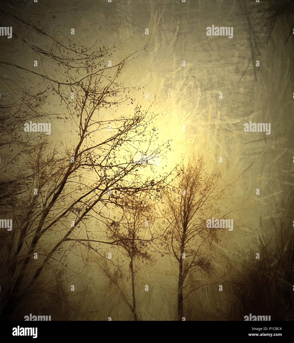 Morning fog and painting hi-res stock photography and images - Alamy