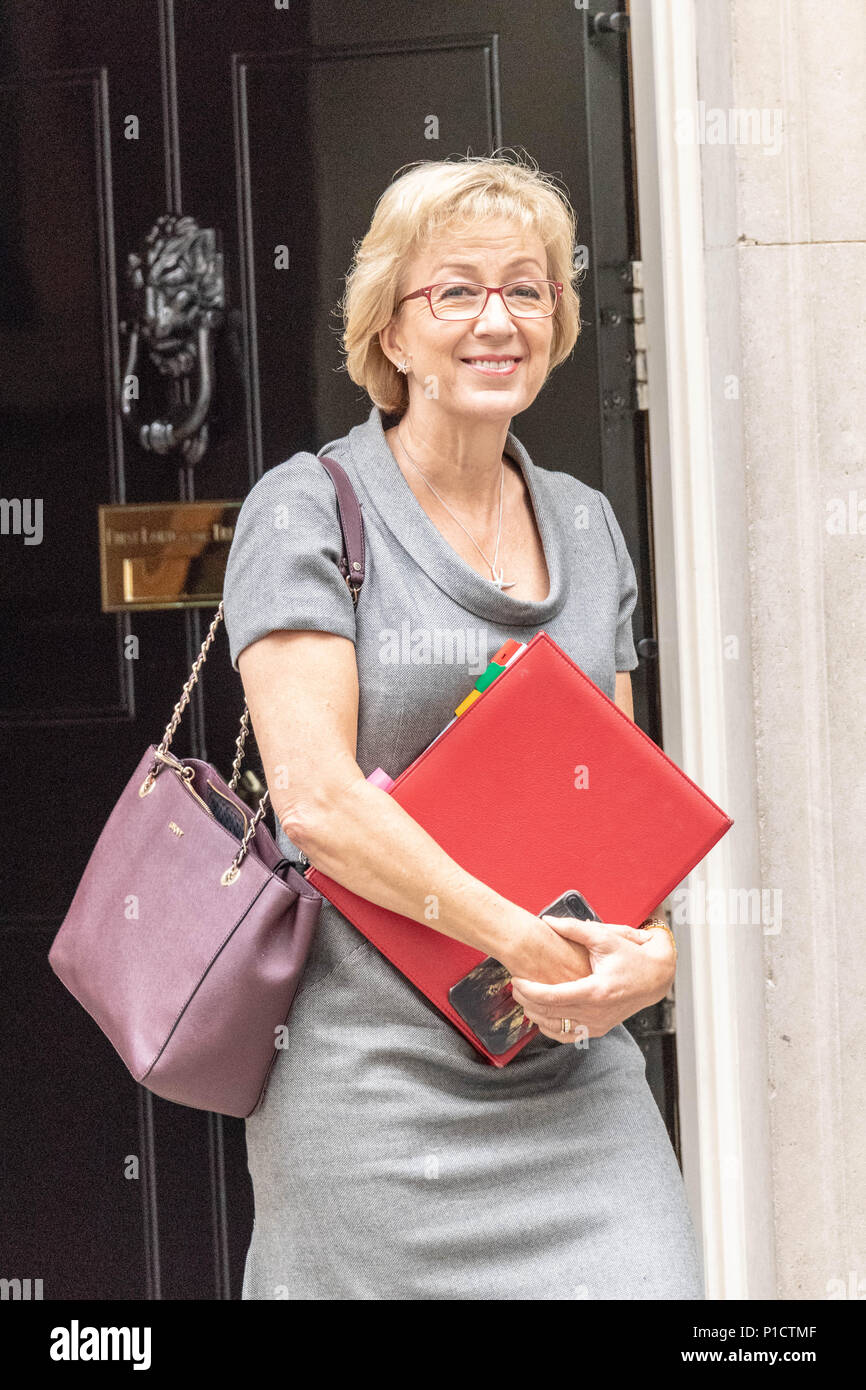 London 12 June 2018, Andrea Leadsom, Leader of the House of Commons, leaves Cabinet meeting at 10 Downing Street, London Credit Ian Davidson/Alamy Live News Stock Photo