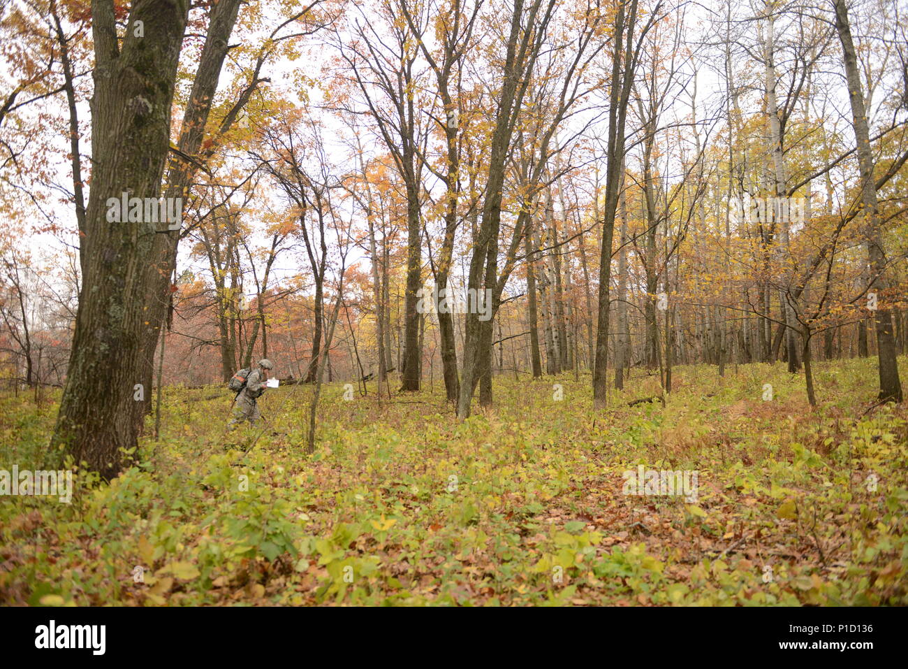 At Camp Ripley Training Center in Minnesota, personnel from ...