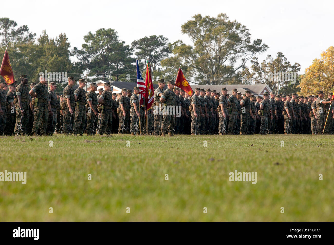 Parade Rest Example Marines of the 1st Battalion, 8th Marine Regiment stand at parade rest ...