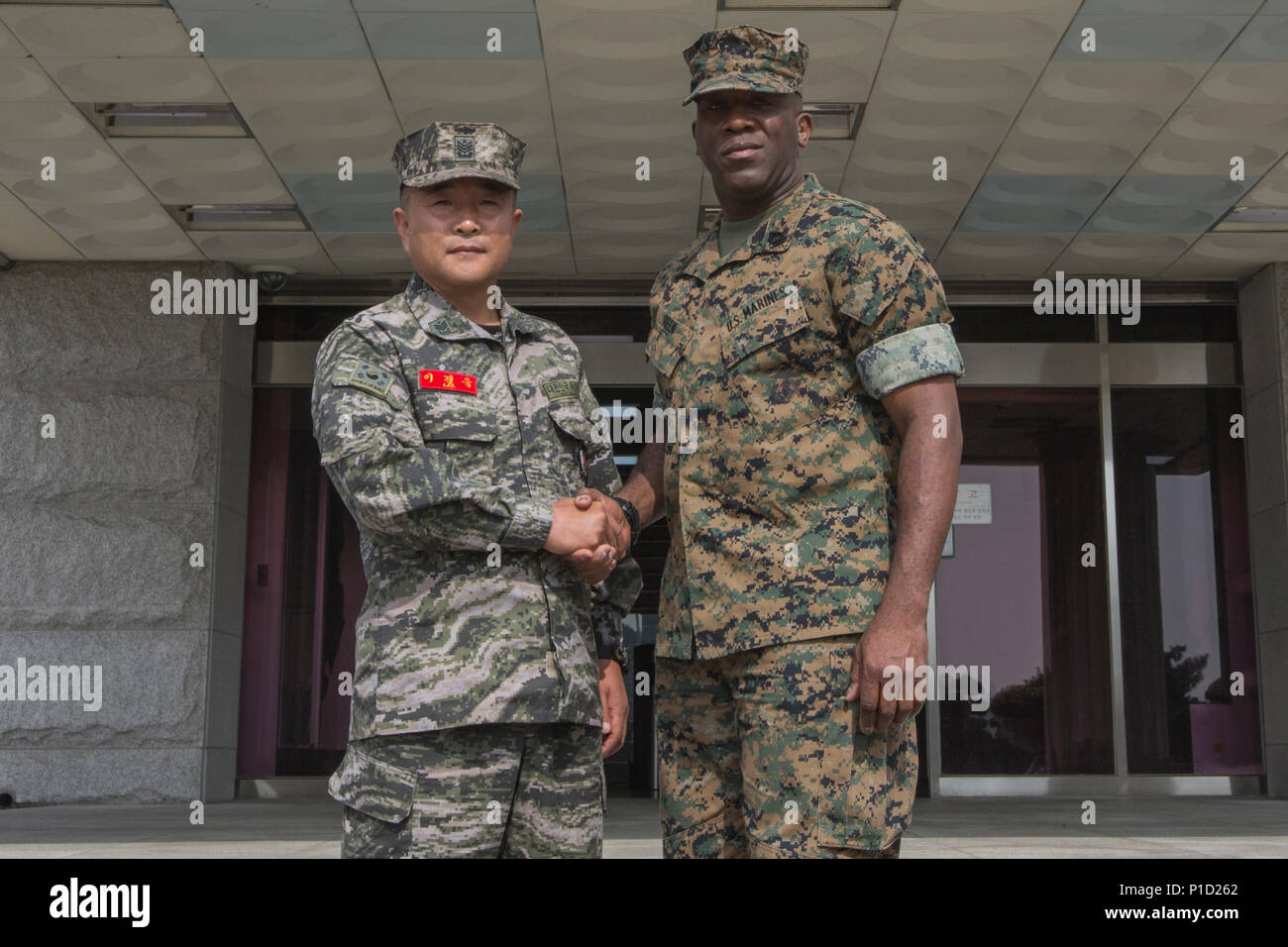 Ron Green First Command U.S. Marine Corps Sgt. Maj. Ronald L. Green, sergeant major of the ...