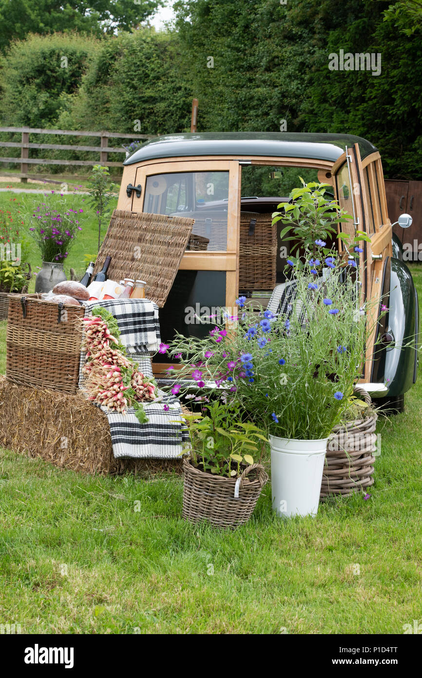 Floral and picnic hamper at the back of a vintage 1950 Bentley estate