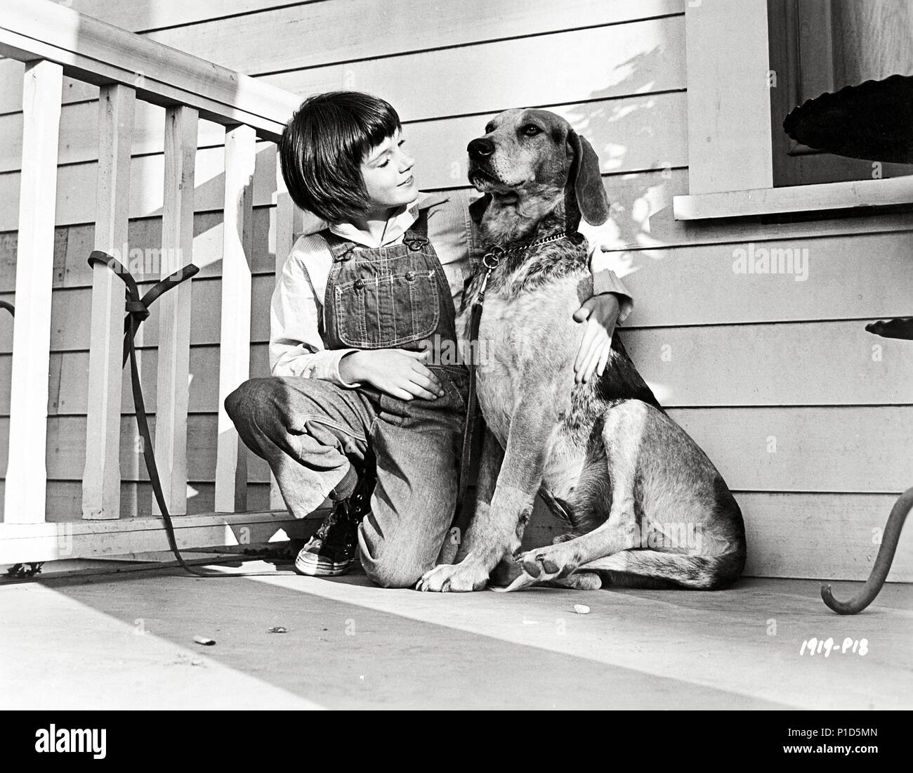 Original Film Title: TO KILL A MOCKINGBIRD. English Title: TO KILL A