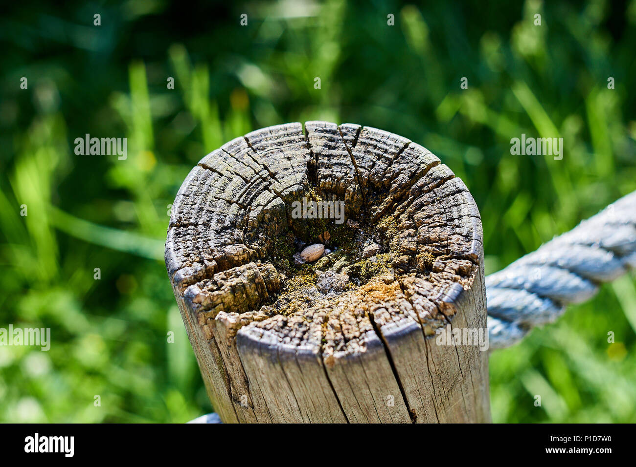 Rustic wooden post against a lush green hillside Stock Photo Alamy