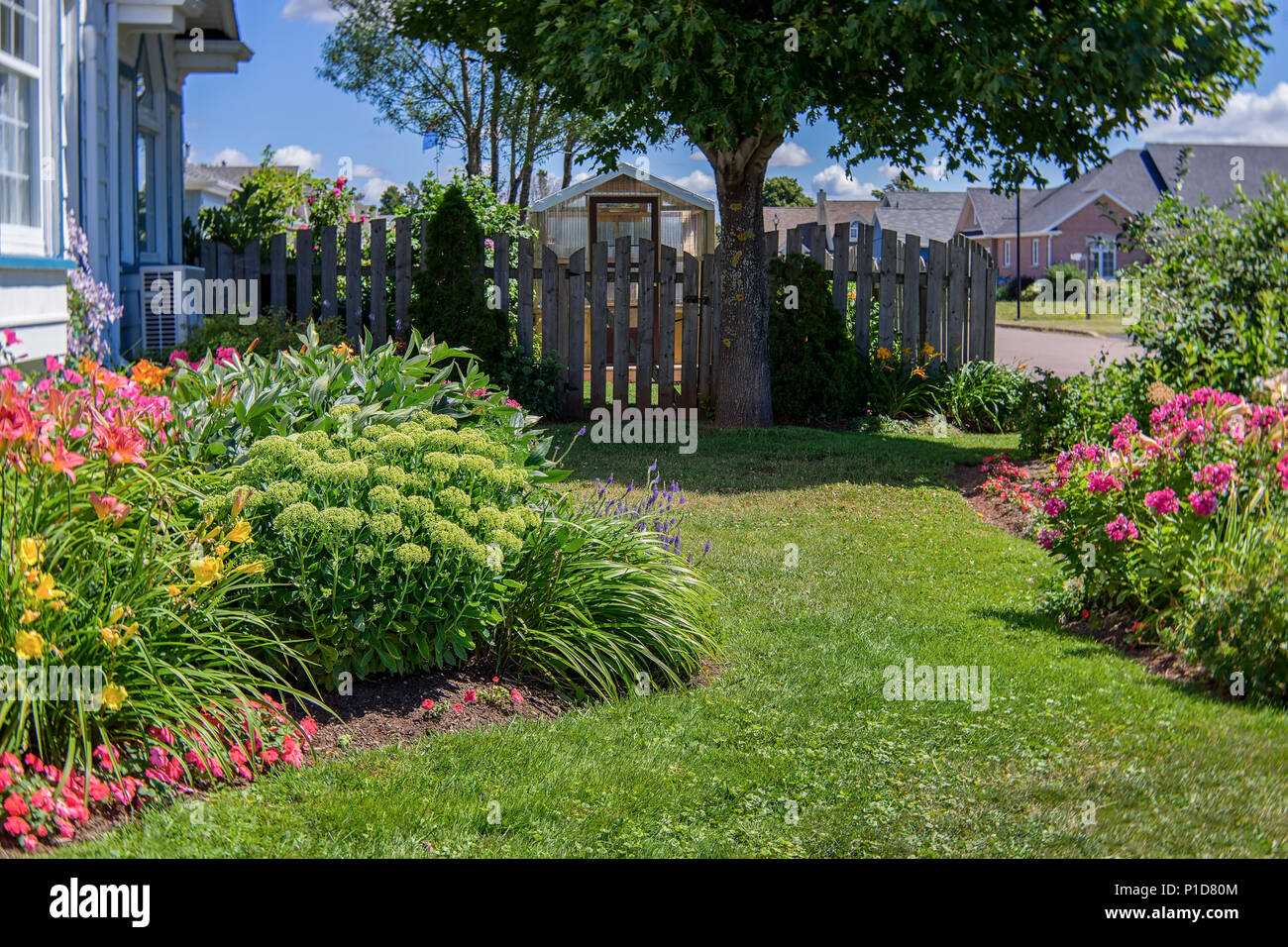Flower bed and greenhouse in a suburban garden. Stock Photo