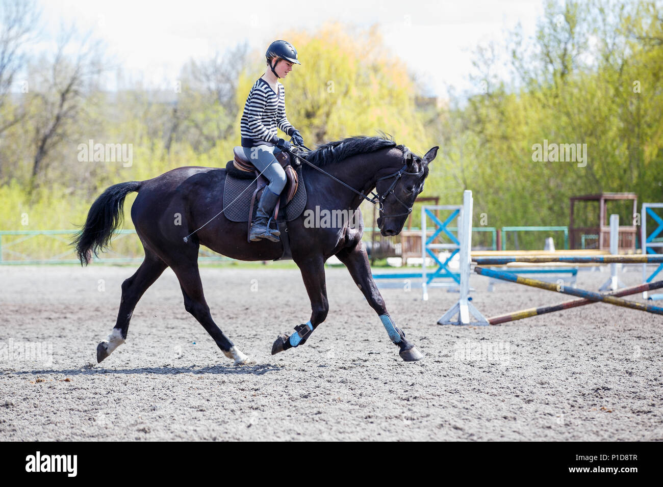 Young girl riding horse on her course in training show jumping. Equestrian sport training background Stock Photo