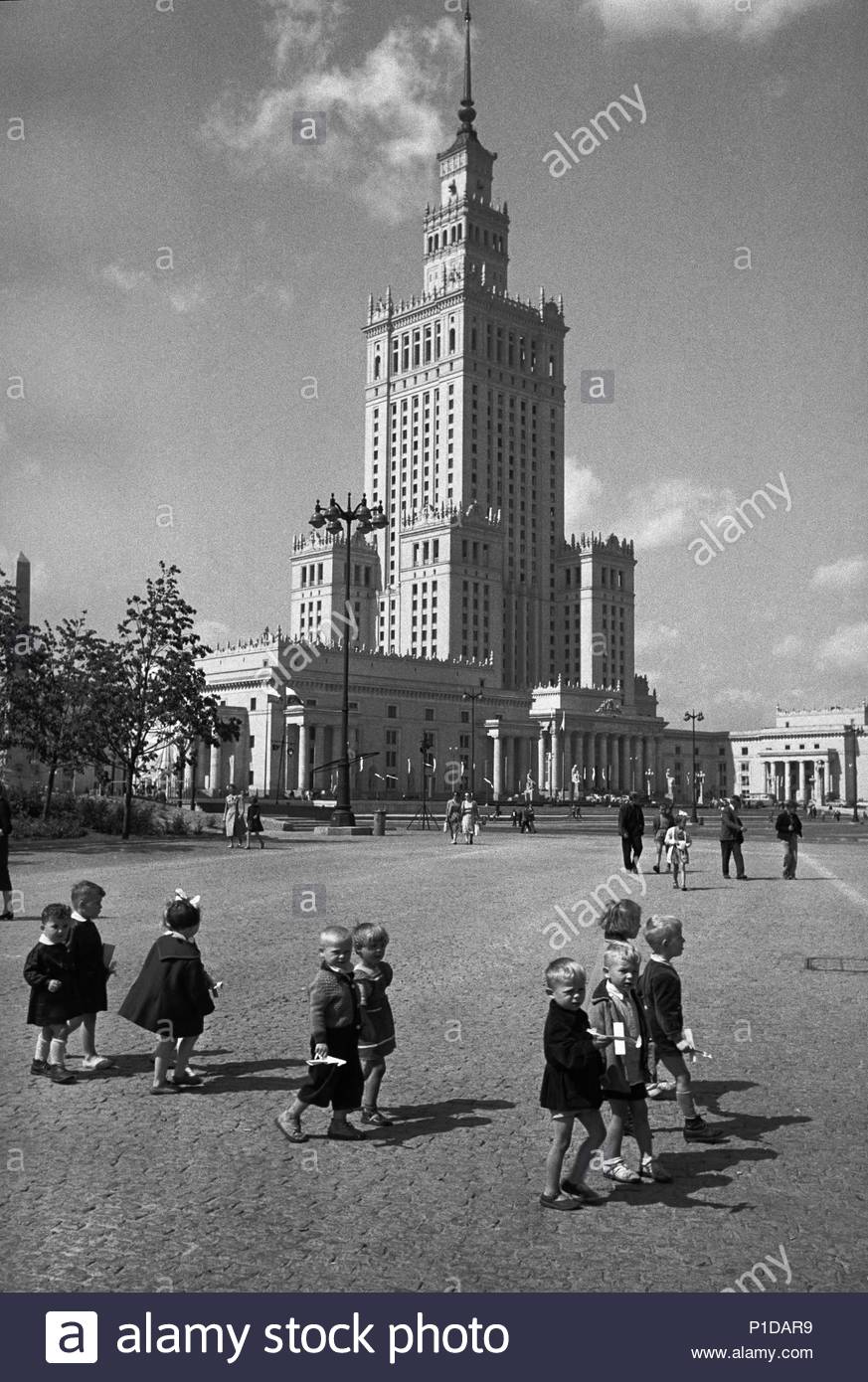 Wedding Palace in the capital Wedding Palace in the capital