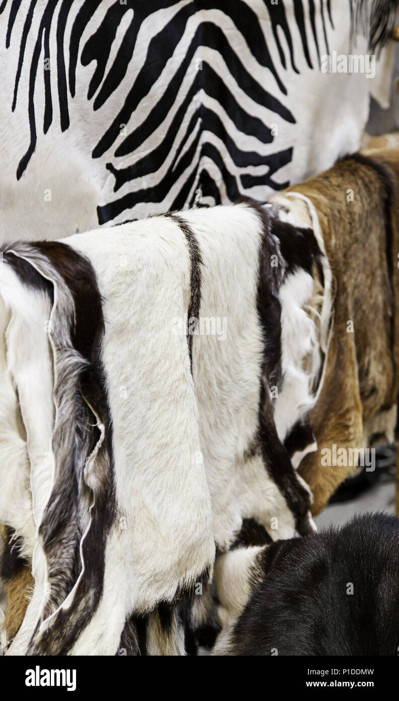 Animal skins at a craft market, luxury detail and fashion Stock Photo