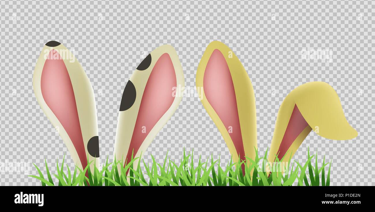 Bunny ears hiding in grass on transparent background. Isolated rabbit ear, easter animal decoration. EPS10 vector. Stock Vector