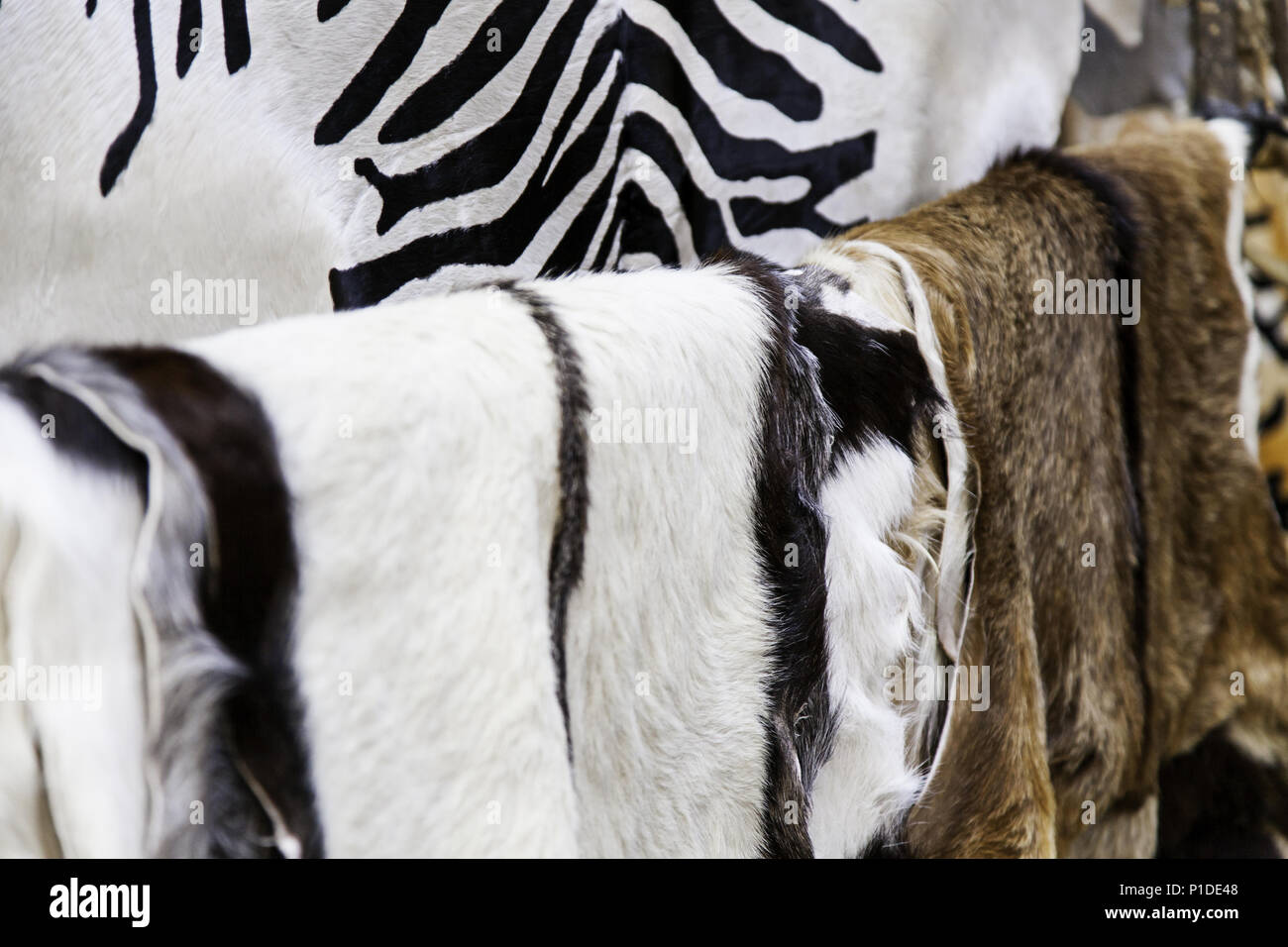 Animal skins at a craft market, luxury detail and fashion Stock Photo