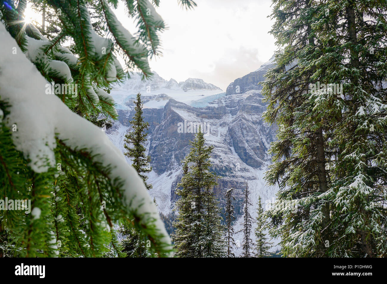 Tall peak from the Rockies in Banff, at Lake Louise. Stock Photo