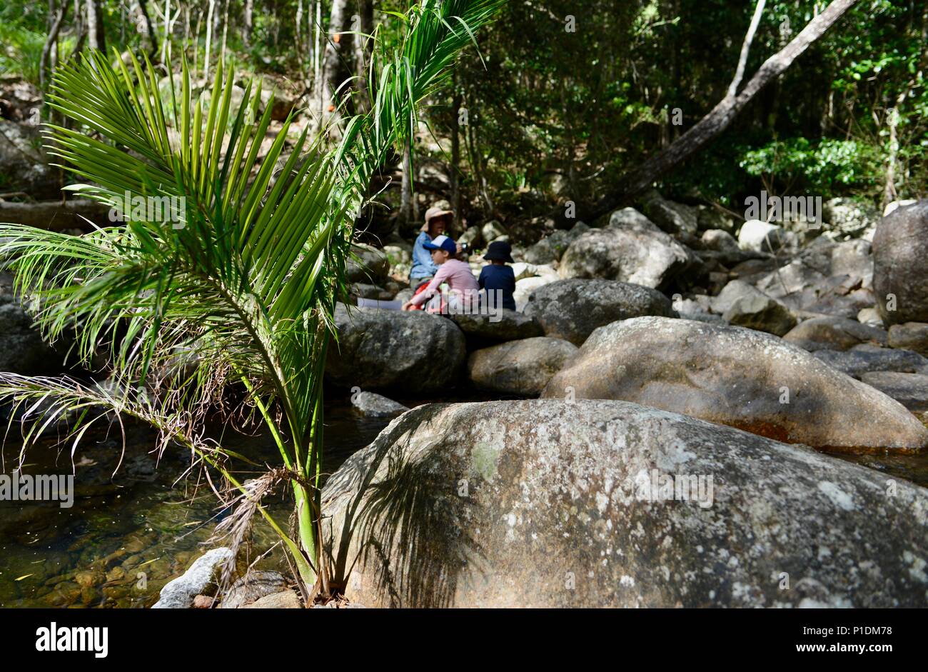 Children sitting on rocks in Rollingstone creek, Paluma Range National ...