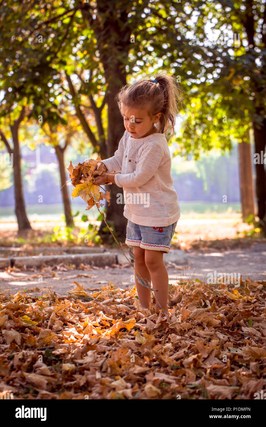 beautiful little girl playing in the Park with autumn leaves, playing ...