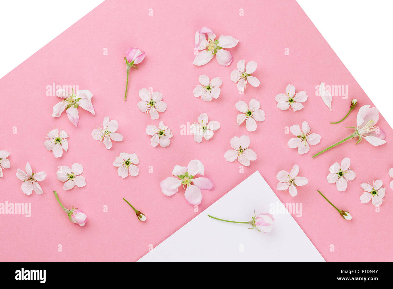 Creative flat lay concept top view of blank postcard frame mock up and ...