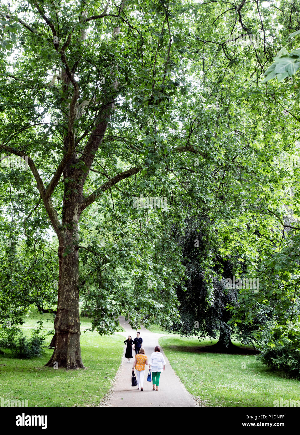 Summer in green park london hi-res stock photography and images - Alamy