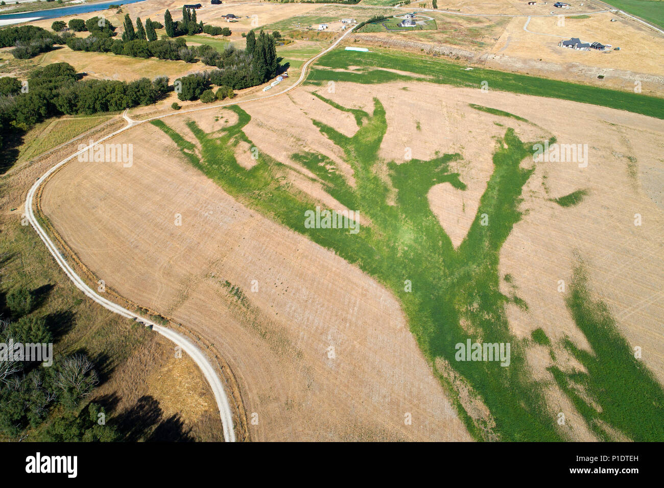Irrigated and dry farmland near Bendigo, Central Otago, South Island, New Zealand - drone aerial Stock Photo