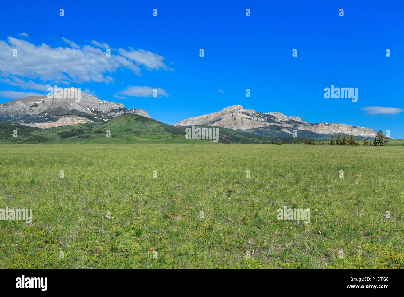 old man of the hills and walling reef above the prairie near bynum, montana Stock Photo