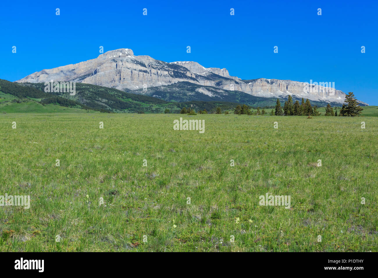 walling reef along the rocky mountain front above the prairie near bynum, montana Stock Photo