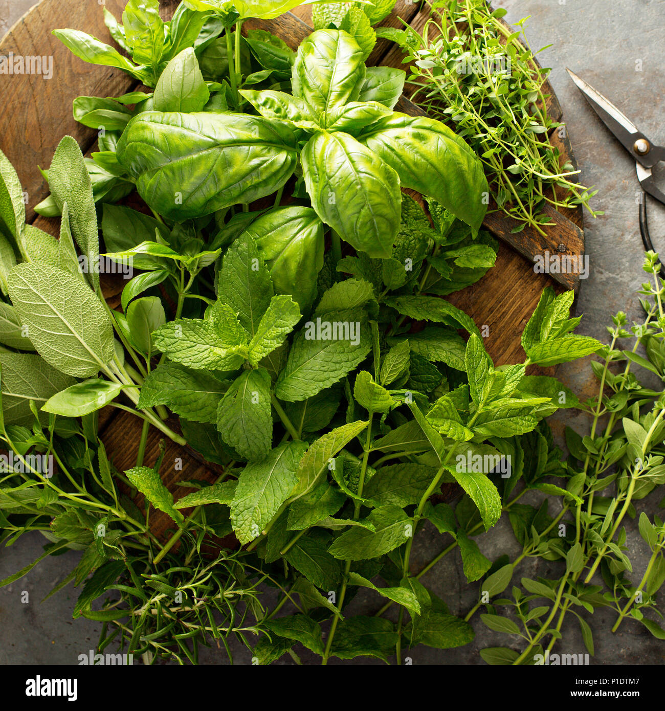 Cooking with fresh herbs Stock Photo Alamy