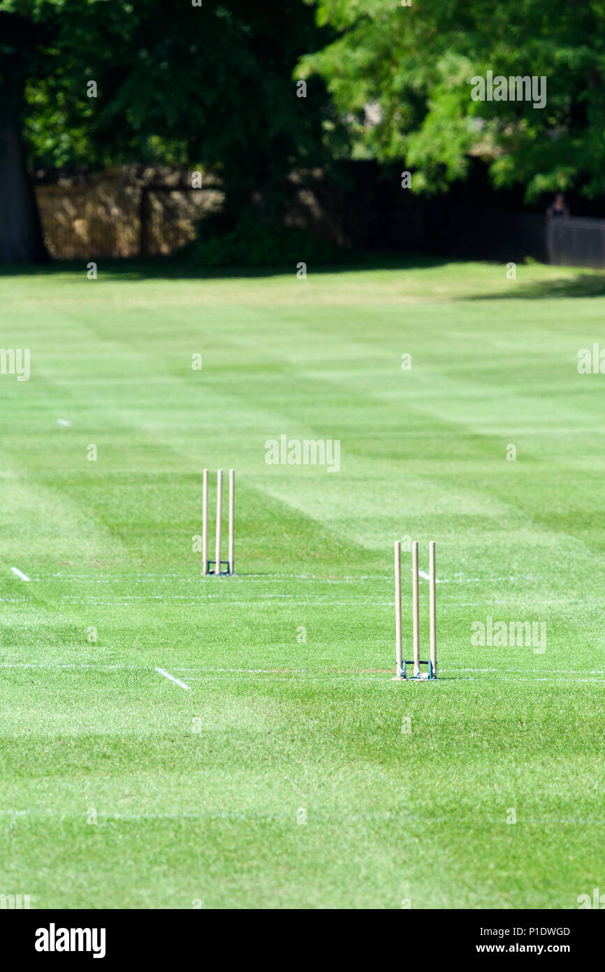 Stumps on the cricket pitch at the playing field (known as Merton Field) of  Christ church college, university of Oxford, England. Stock Photo
