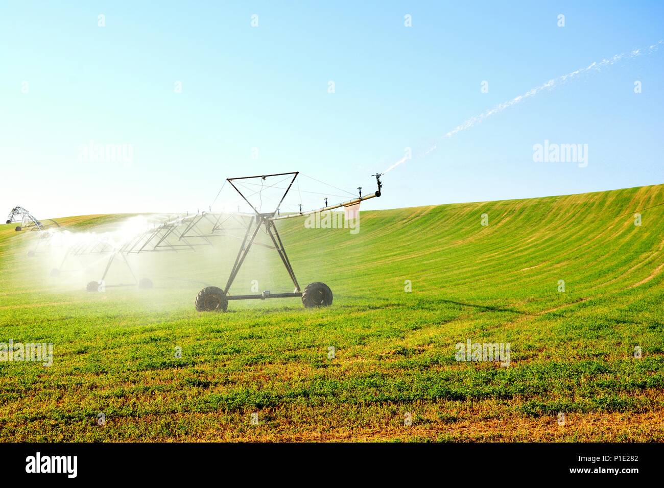Spray sprinklers hires stock photography and images Alamy