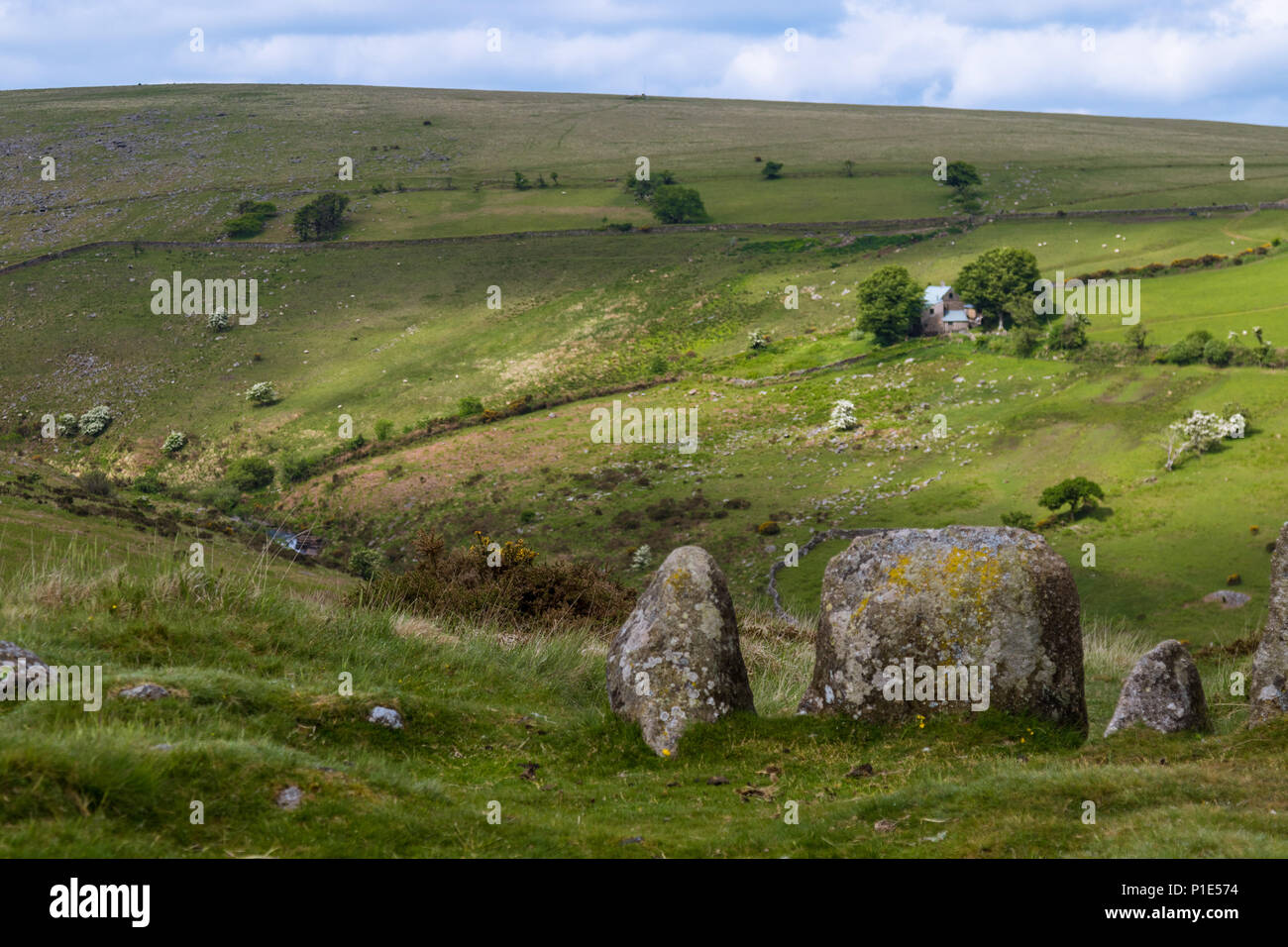 The 9 Maidens Standing Stone Circle in Dartmoor National Park Stock
