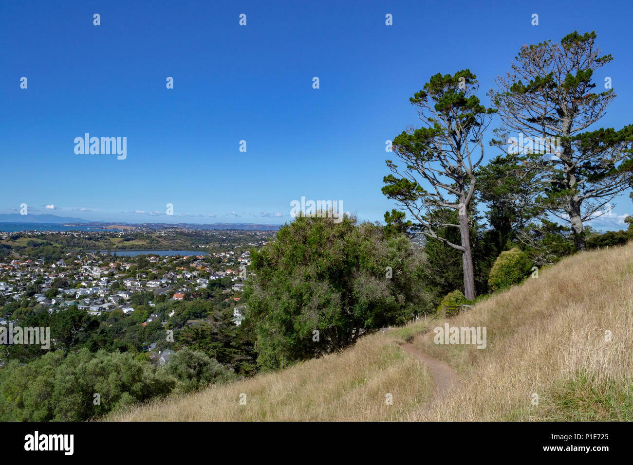 Mount Hobson, Auckland. View of Orakei and Remuera Stock Photo Alamy