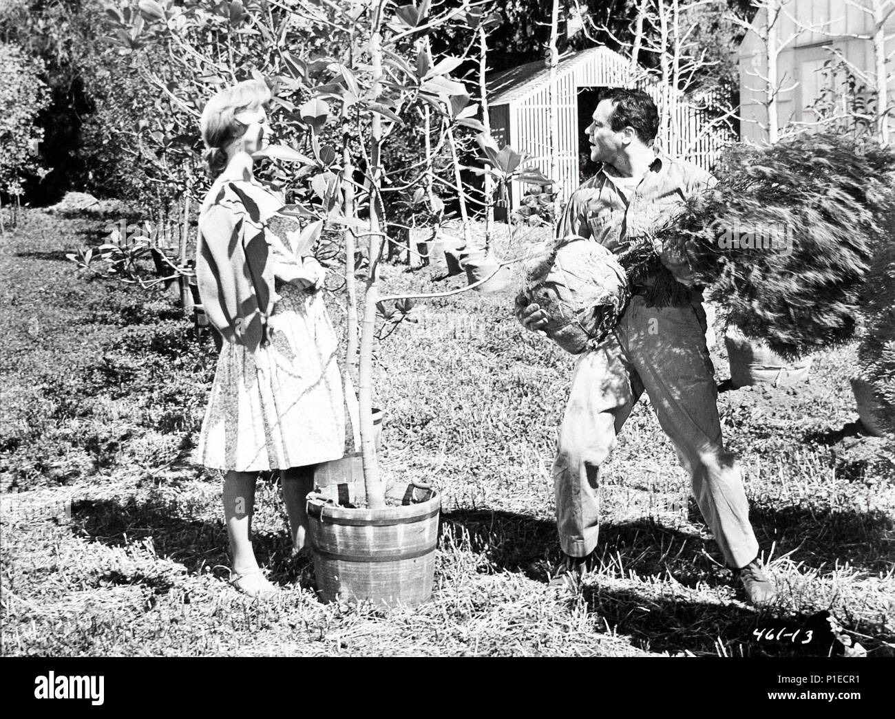 Original Film Title DAYS OF WINE AND ROSES. English Title DAYS OF