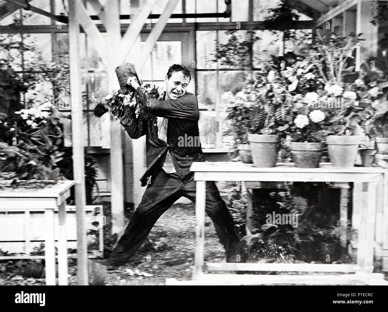 Original Film Title DAYS OF WINE AND ROSES. English Title DAYS OF WINE AND ROSES. Film