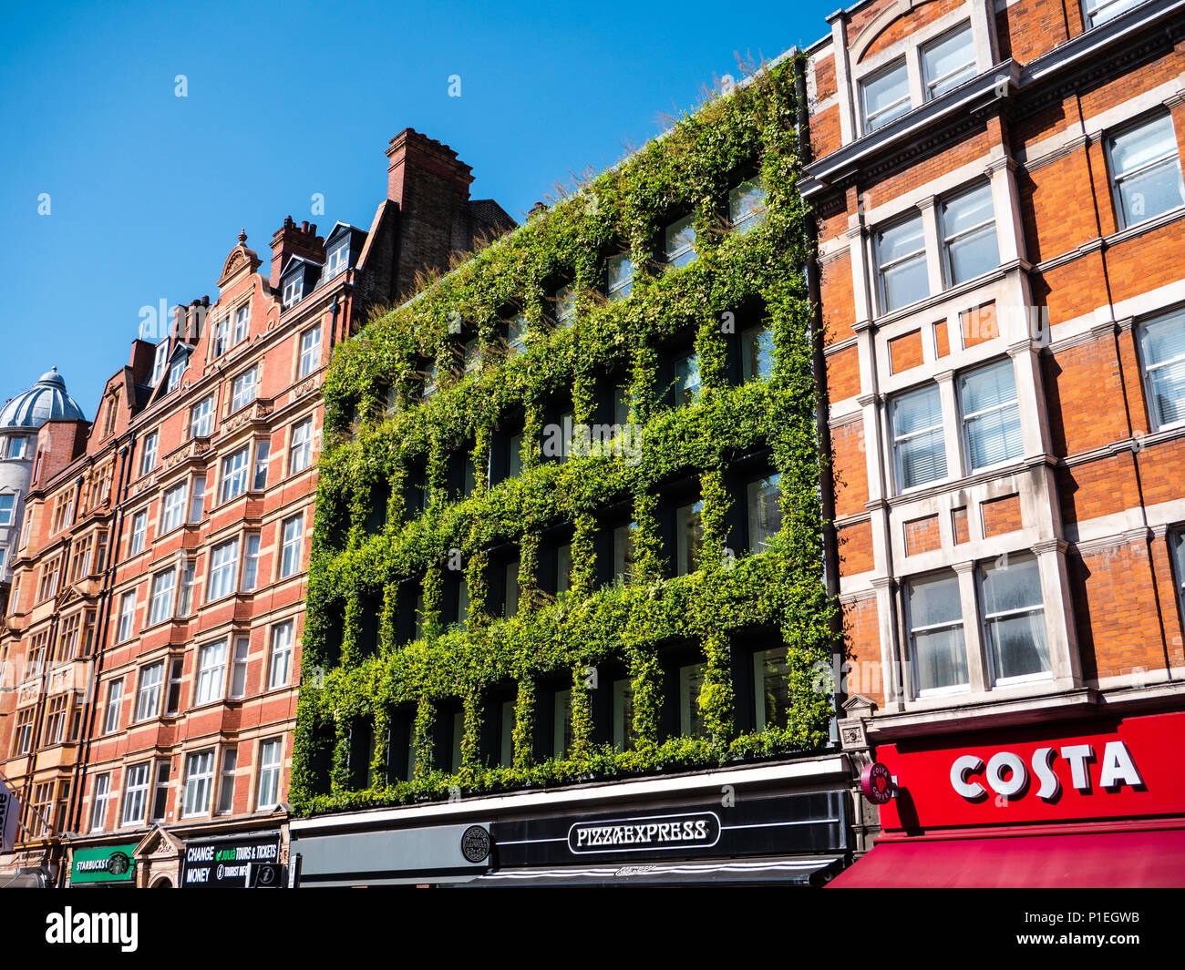 Green Wall, Southampton Row, London, England, UK, GB. Stock Photo