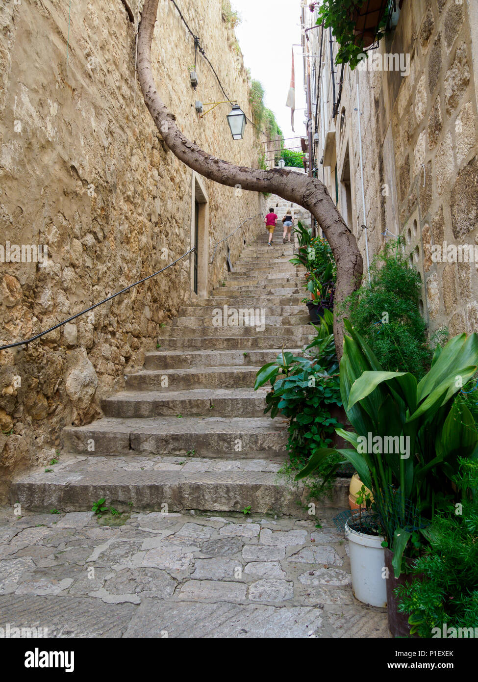 View of Dubrovnik taken June 2018 Stock Photo
