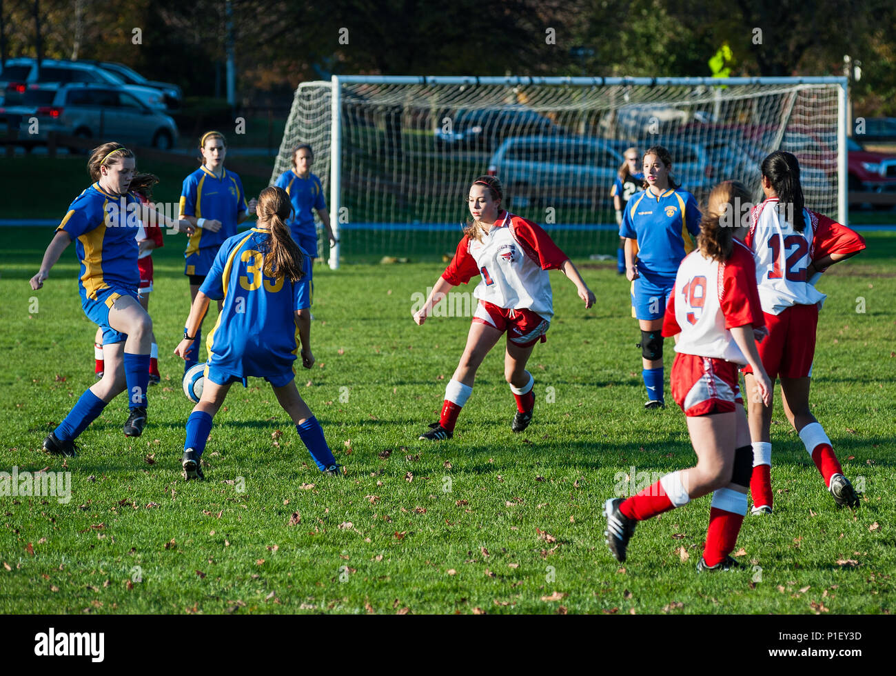 Youth girls high school soccer game, Massachusetts, USA. Stock Photo