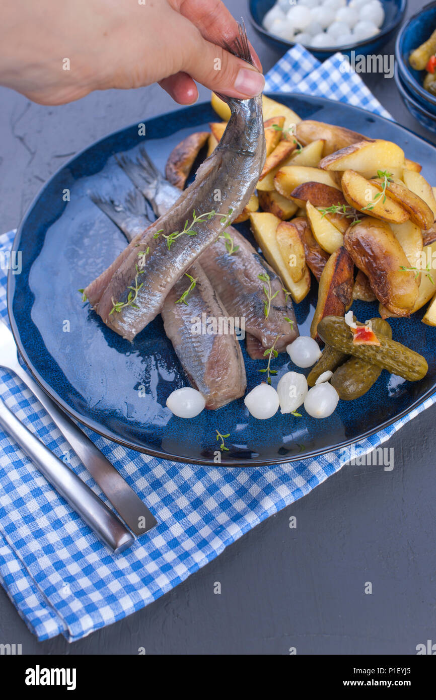 Herring fillets in a female hand, baked in the oven potatoes and pickles and onions. Delicious
