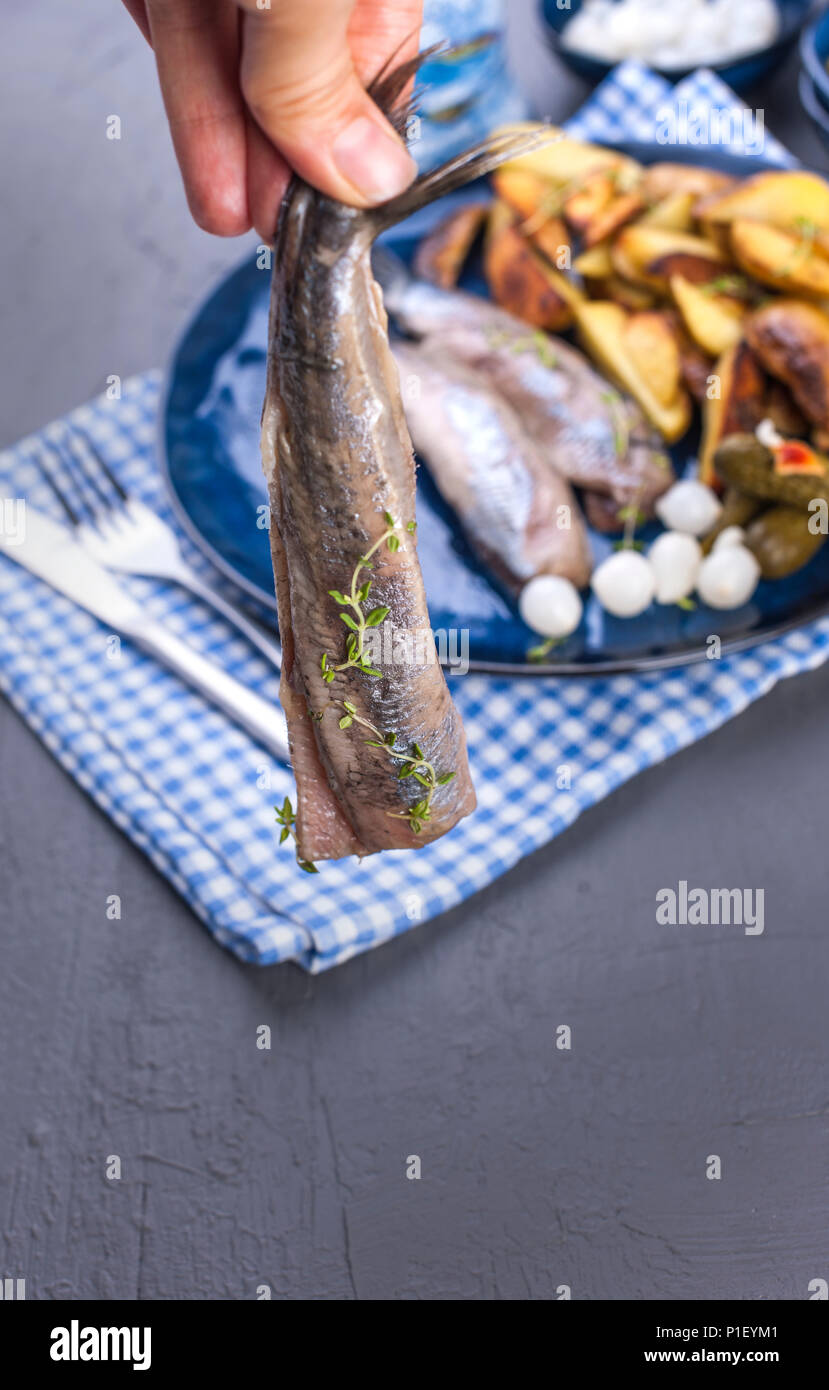 Herring fillets in a female hand, baked in the oven potatoes and pickles and onions. Delicious