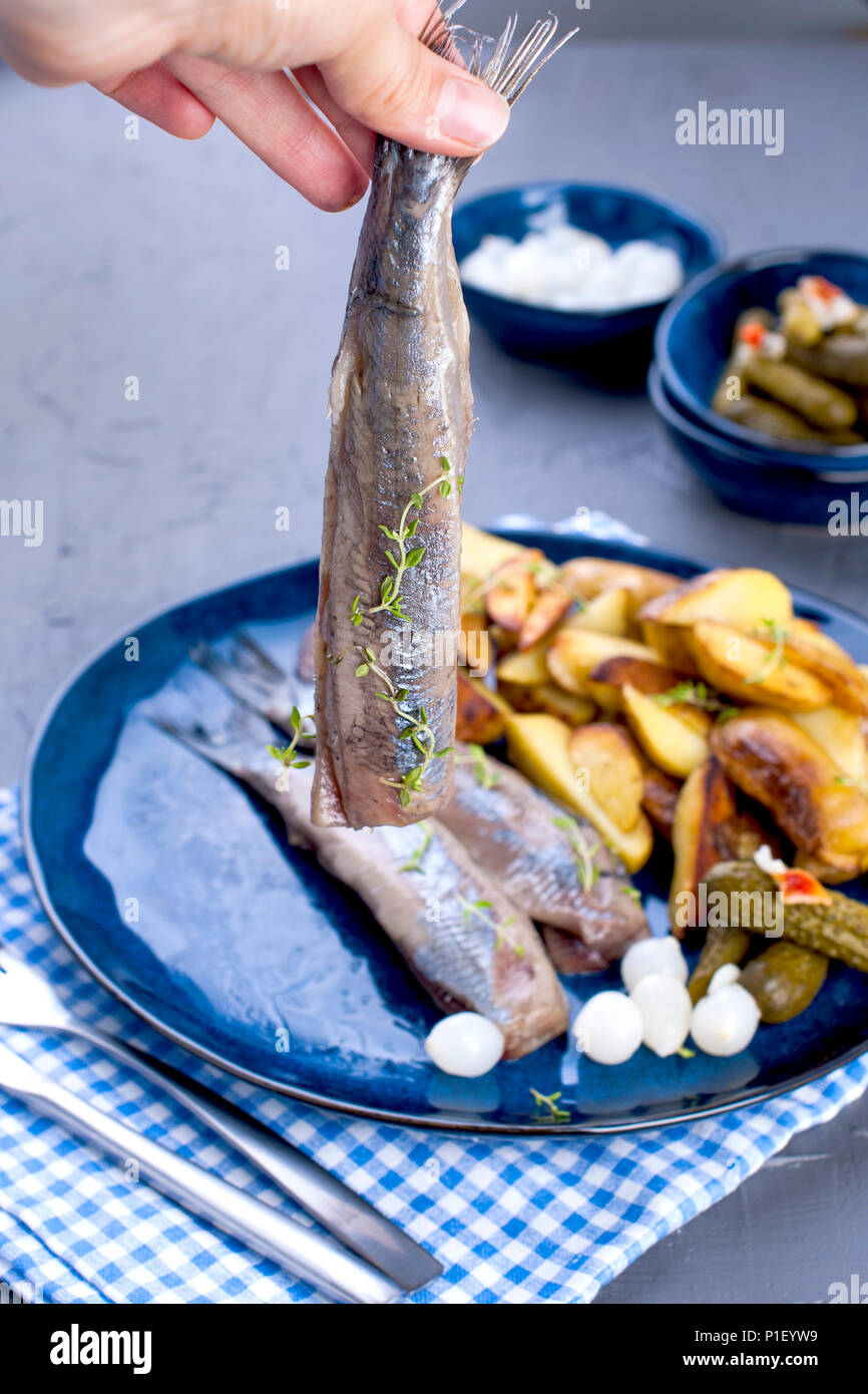 Herring fillets in a female hand, baked in the oven potatoes and