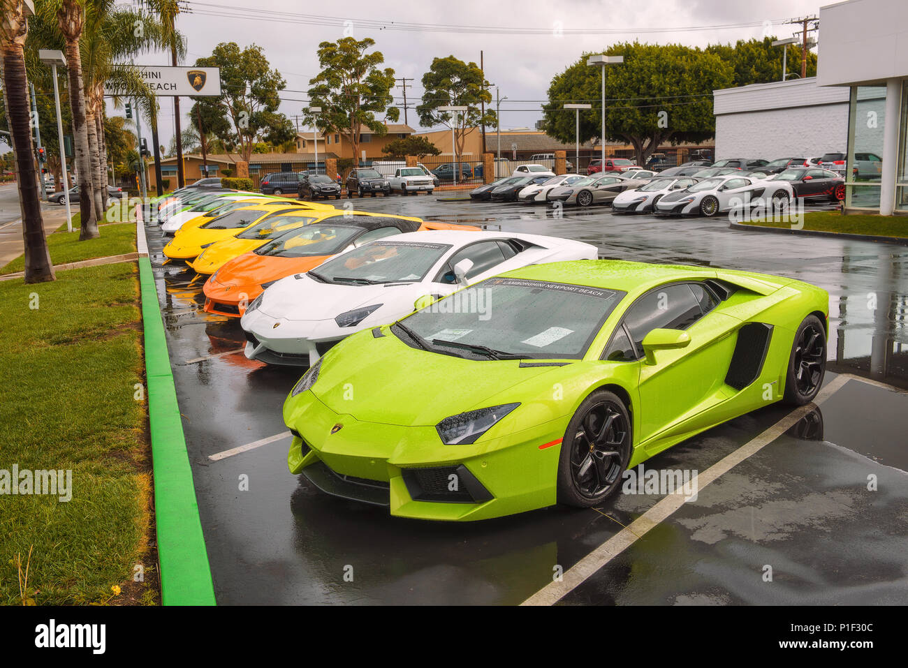 Lamborghini cars parked at the factory authorized dealership in California Stock Photo