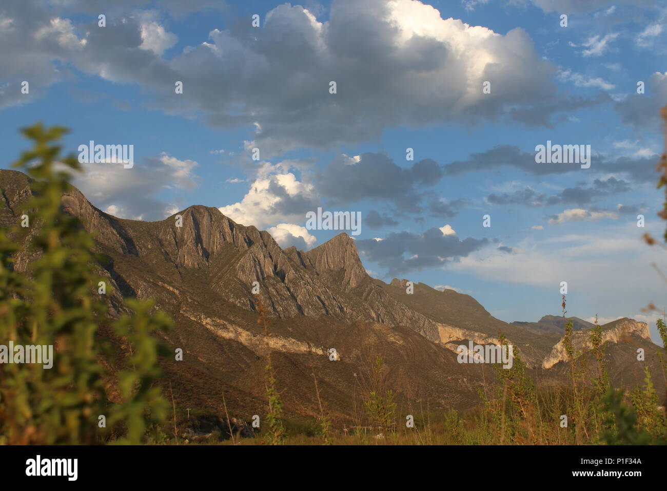 This picture show a beautiful landscape of a semi clouded sky over a range of mountains with some plants on front to create an intense depth of field. Stock Photo