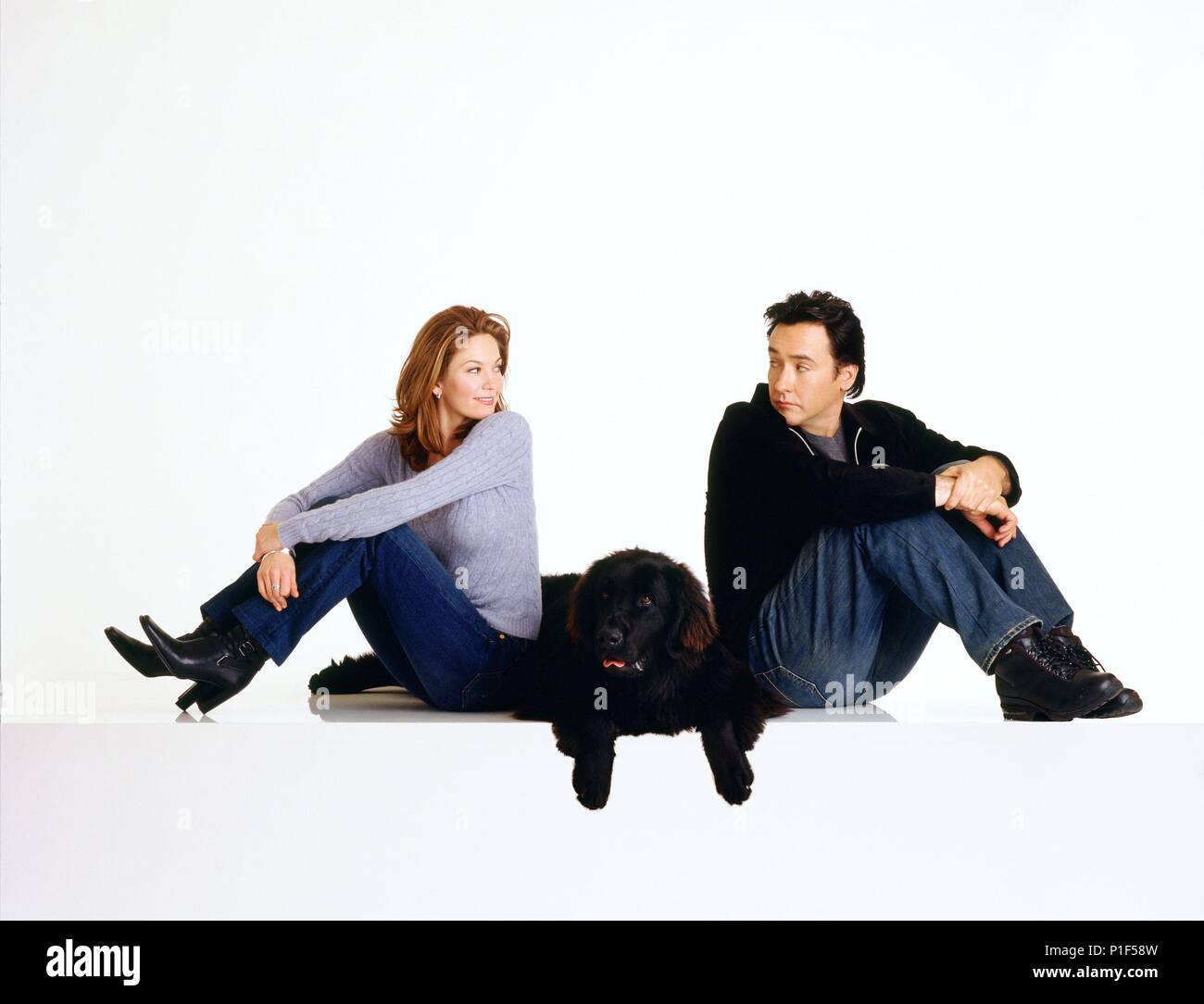 Original Film Title MUST LOVE DOGS. English Title MUST LOVE DOGS. Film Director GARY DAVID