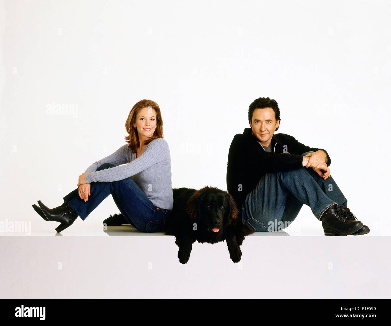 Original Film Title MUST LOVE DOGS. English Title MUST LOVE DOGS