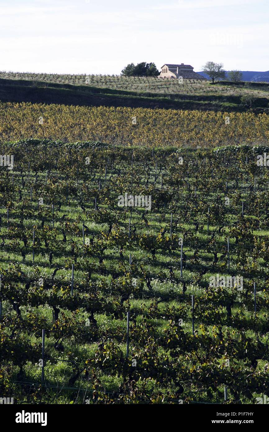 Spain Catalonia Alt Penedes District Barcelona Vinedos Y Masia Cerca De Guardiola De Font Rubi D O Penedes Stock Photo Alamy