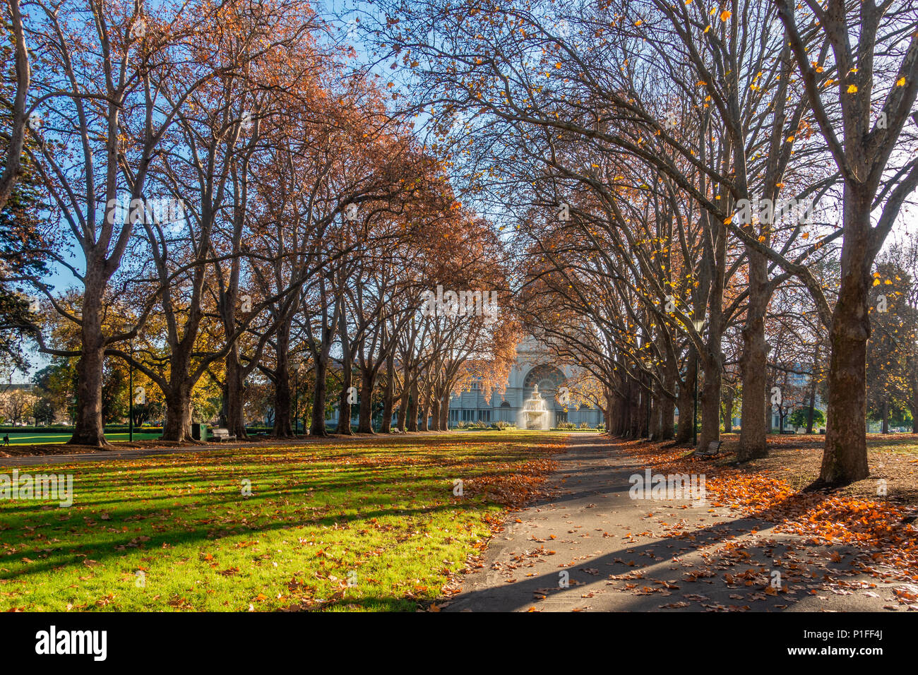 Autumn trees in the park at front the historic Royal Exhibition Building in morning sunlight. Melbourne, VIC Australia. Stock Photo