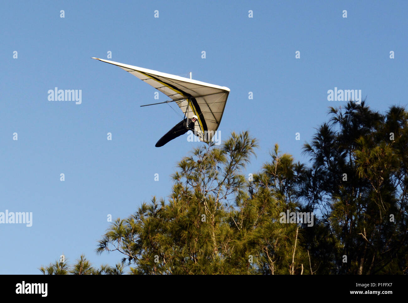 An Australian Hang Glider enjoying his views in Queensland, Australia. Stock Photo
