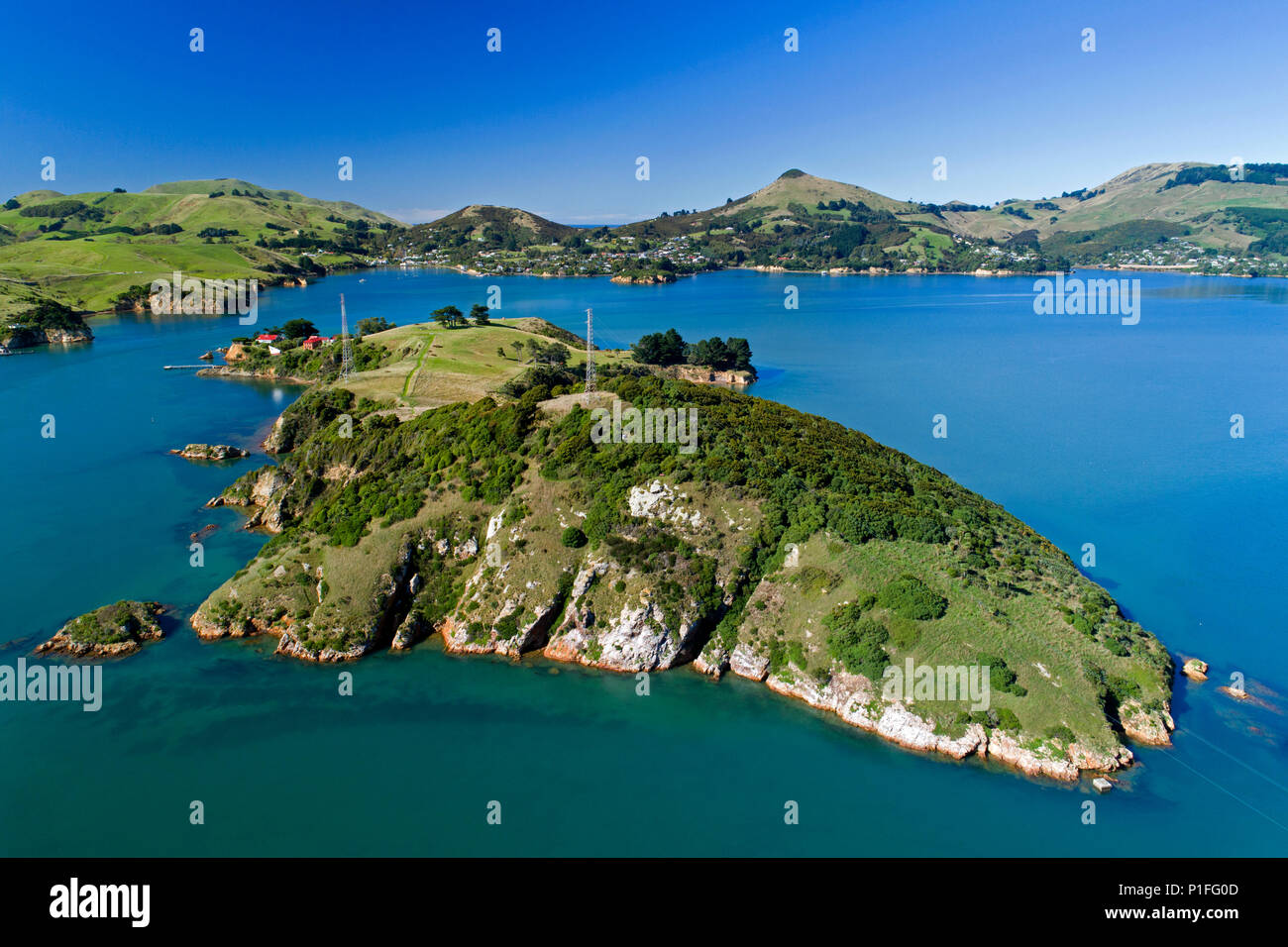 Quarantine Island, Portobello, Otago Peninsula, and Otago Harbour, Dunedin, Otago, South Island, New Zealand - drone aerial Stock Photo