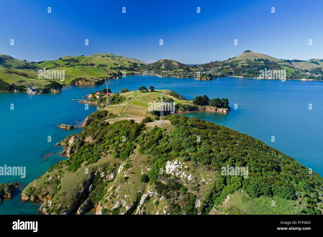 Quarantine Island, Portobello, Otago Peninsula, and Otago Harbour, Dunedin, Otago, South Island, New Zealand - drone aerial Stock Photo